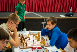 DSC01617.jpg